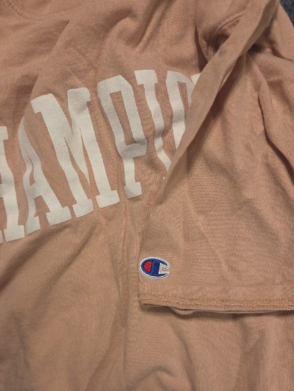 Champion Short-Sleeve Logo Tee in Dusty Rose - Picture 3 of 3